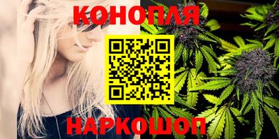 бошки Дубна