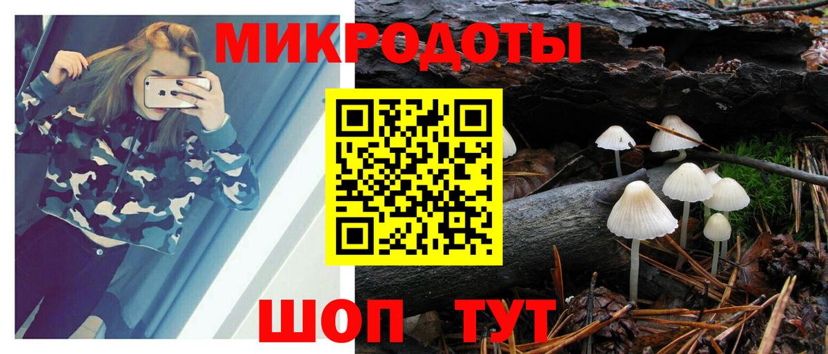 Галлюциногенные грибы прущие грибы Михайловка